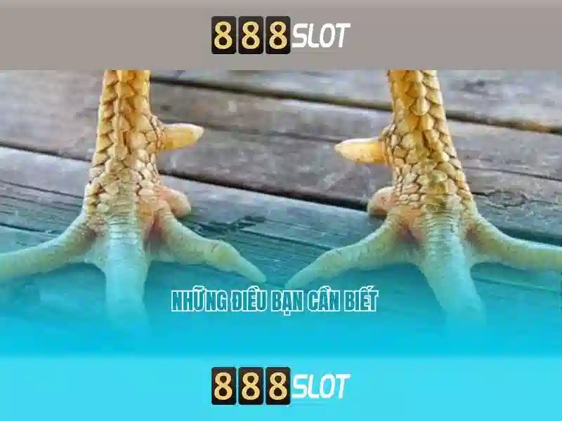 Khám phá 888slot: Nền tảng slot trực tuyến hàng đầu