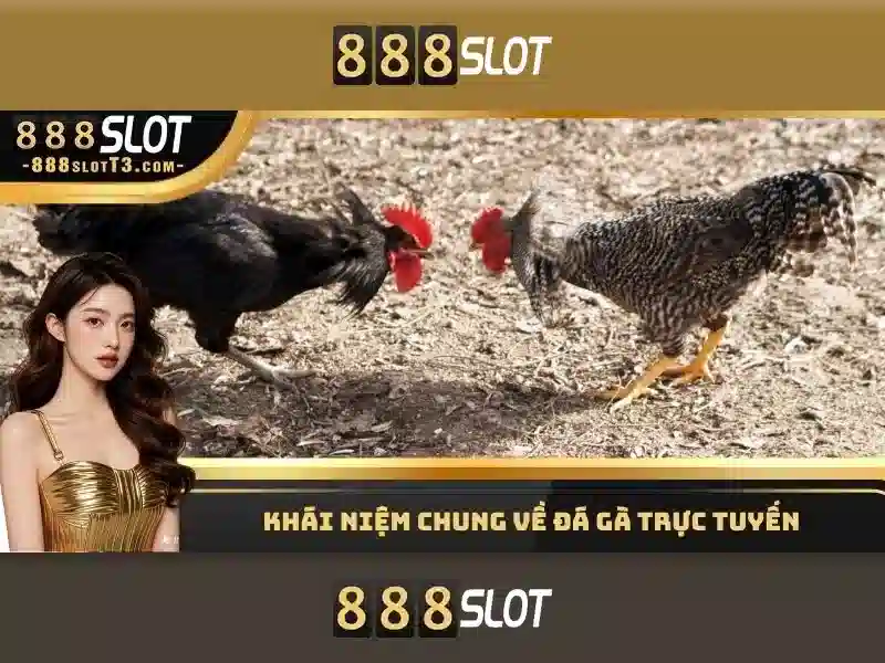 Kết luận và lời khuyên chơi có trách nhiệm
