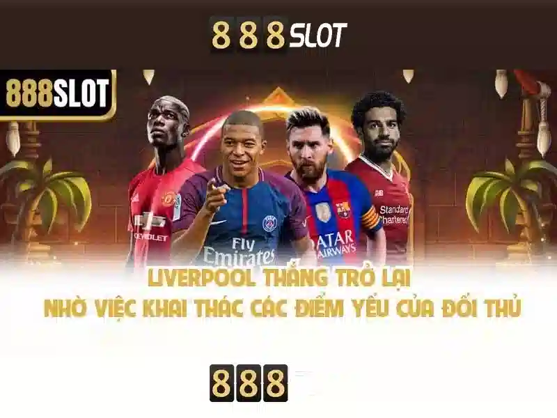 An toàn và cấp phép