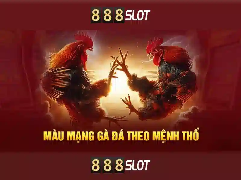 888slot - Nền tảng slot trực tuyến đáng tin cậy tại Việt Nam