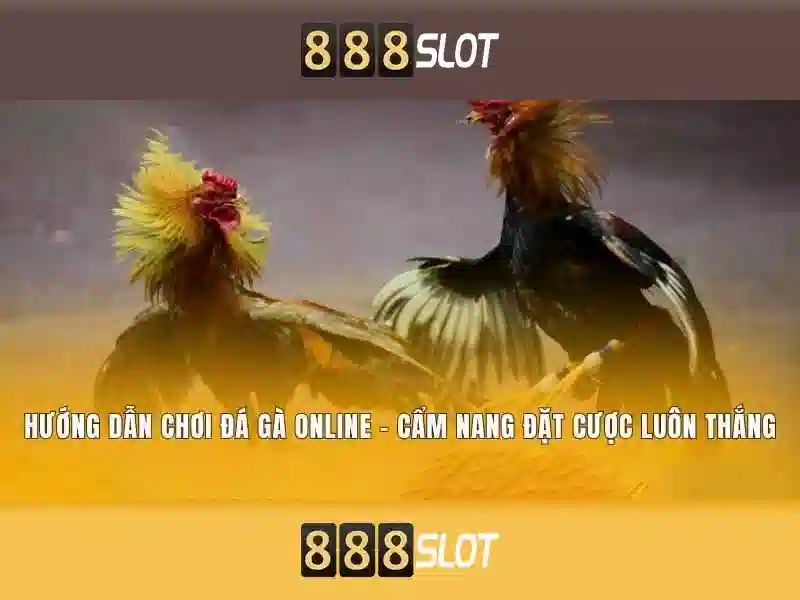 An toàn và thanh toán