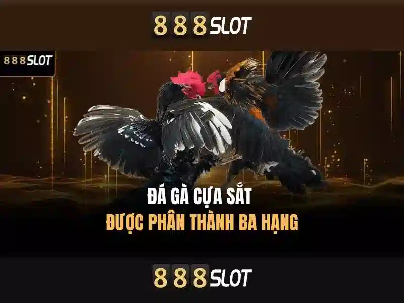 Giới thiệu về 888slot - Nền tảng slot trực tuyến hàng đầu