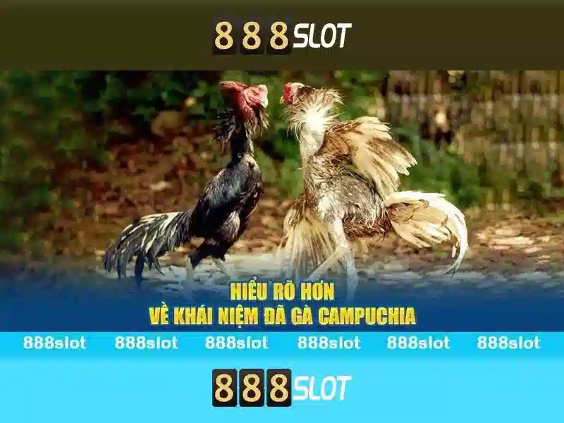 888slot - trải nghiệm slots hàng đầu tại Việt Nam