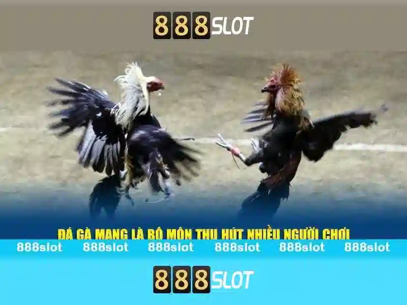 888slot - trải nghiệm slot trực tuyến nổi bật tại Việt Nam