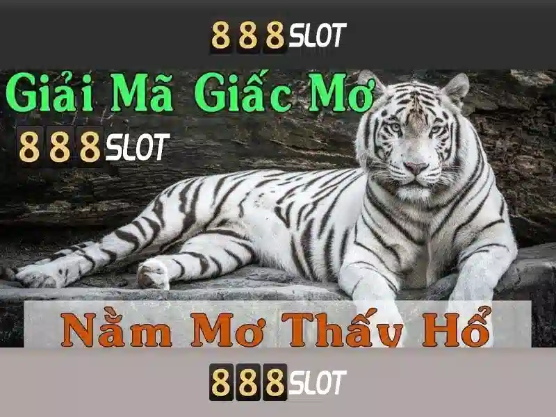 888slot là gì?