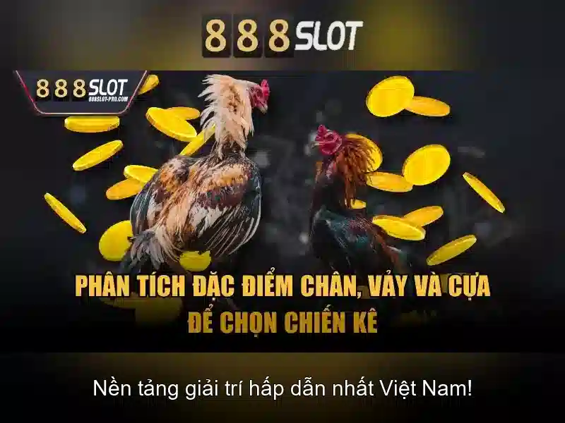 An toàn và bảo mật và thanh toán