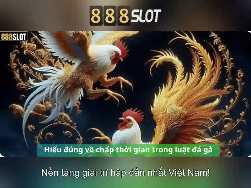 An toàn và hỗ trợ người chơi