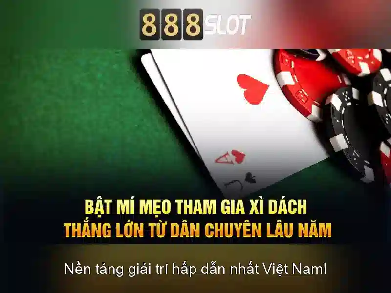 Kết luận và an toàn