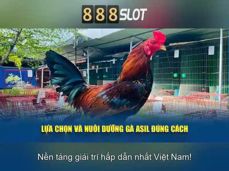 888slot: Đánh giá tổng quan về nền tảng slot trực tuyến
