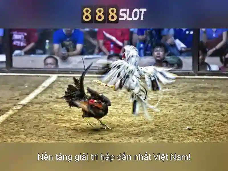 Tiện ích và trải nghiệm người dùng