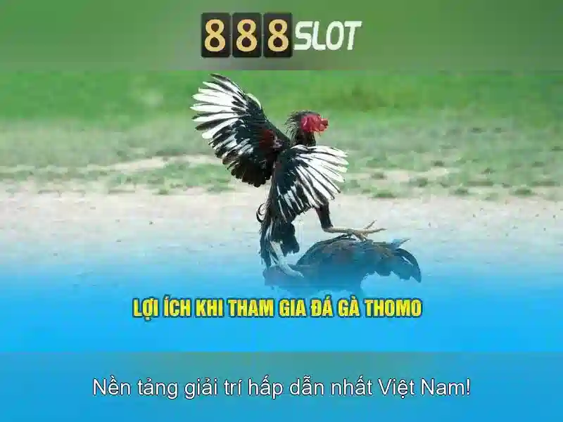 888slot: Tổng quan về nền tảng đánh slot trực tuyến hàng đầu