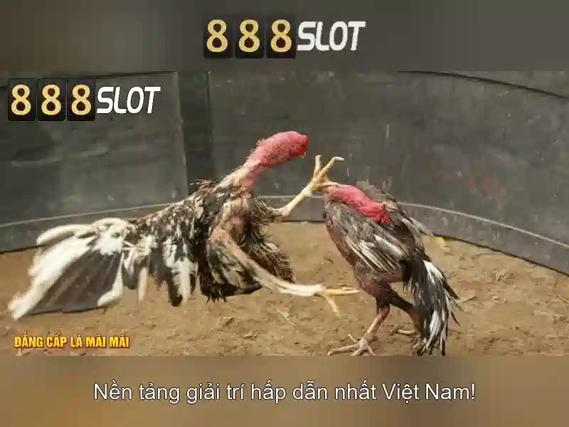 888slot: Đánh giá và hướng dẫn chơi giải trí uy tín